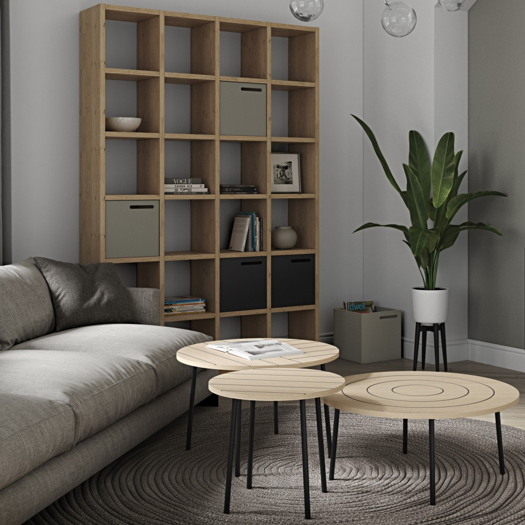 Araeya Wide Bookcase, Wild Oak