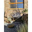 Sansa Swing Chair with Stand