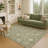 Machine Washable Indoor/Outdoor Chantille ACN2471 Global Rug-691683272-691683278