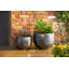 Alessio Metal Pot Planter
