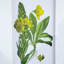 Ensemble de 4 fleurs murales botaniques, décoration pour le salon, la salle à manger, la chambre à coucher, le couloir, 20 po x 28 po