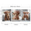3 Piece Wrapped Canvas Print