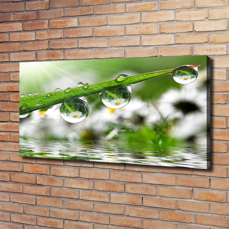 Drops on the Grass 1 Piece Wrapped Canvas Wall Art
