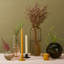 Essential Candlestick-305807130