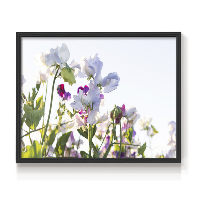 Fleurs printanières - reproduction encadrée - réversible, H 11 po x l 14 po, Noir