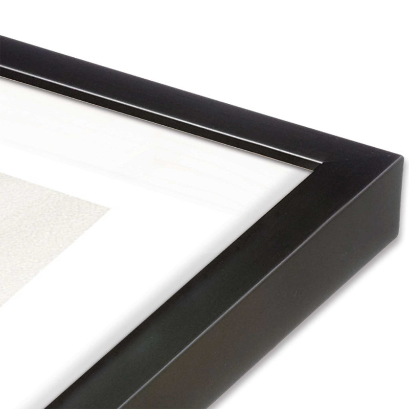 Imprimé de merveilles ailées, H 25,25 po x l 37,25 po, Cadre en zinc patiné