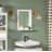 Goggin Wall Mirror with Shelf