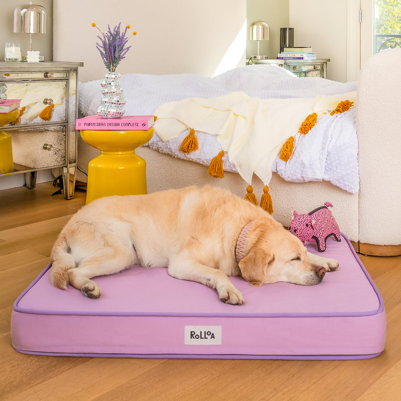 Lit orthopédique en mousse viscoélastique avec housse lavable Cooling Gel, L 24 po x P 18 po x H 3 po, Lilas