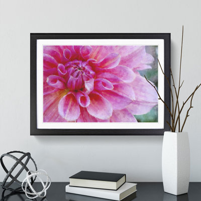 Pink Flower in Blossom - Framed Print