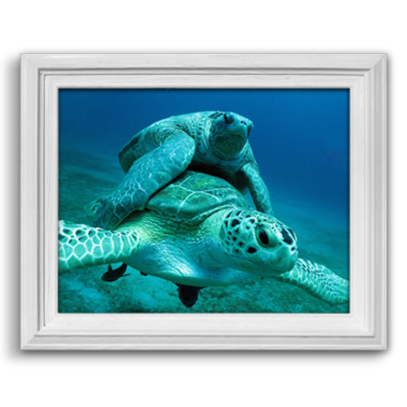Animals Framed Art