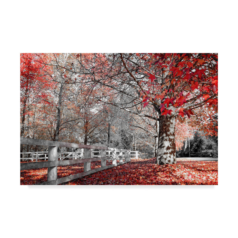 « automne rouges iii », photographie sur toile, H 22 po x l 32 po x P 2 po