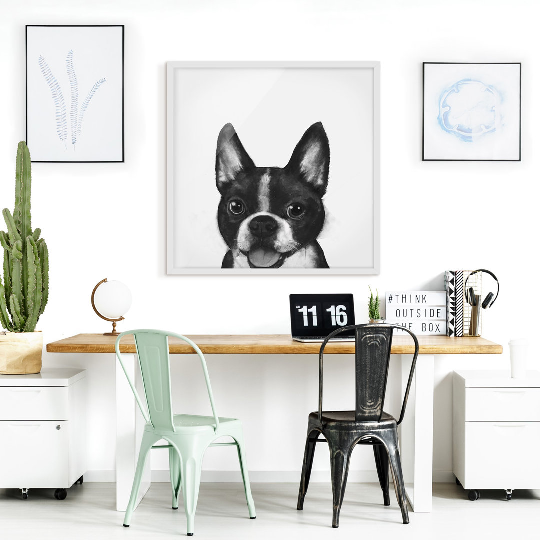 Gerahmter Grafikdruck Illustration Dog Boston Black White