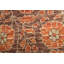 Oriental Area Rug in Brown