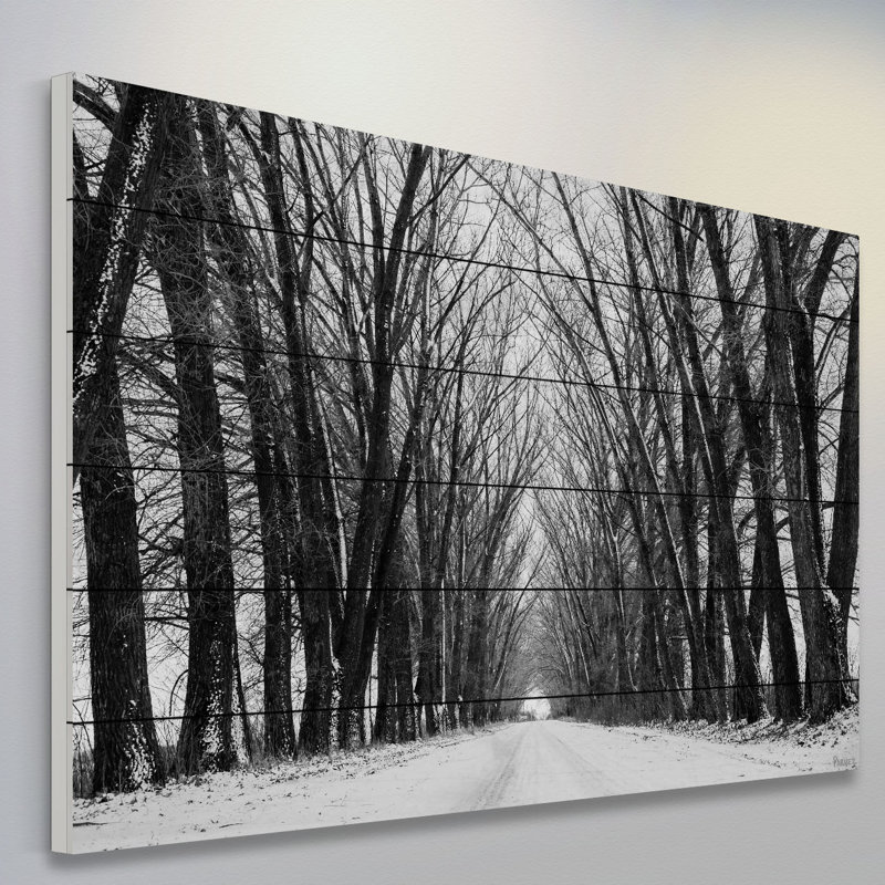 «Rows Of Trees» par Parvez Taj - reproduction de photo non encadrée sur bois, H 40 po x l 60 po x P 1,5 po