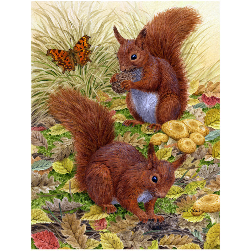 Drapeau de jardin Berner Red Squirrels