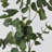 Audet Artificial Eucalyptus Branch(1 Stem)-1750349365