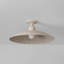 TEELIN Flush Mount