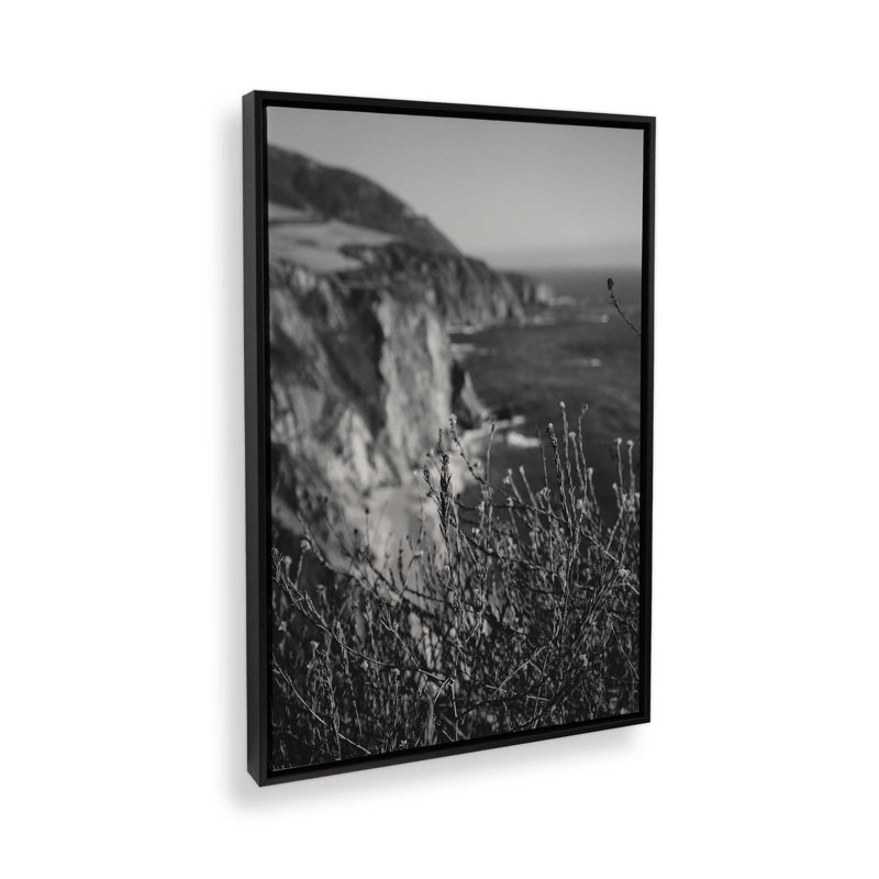 «Big Sur Wild Flowers» par Garima Dhawan, reproduction d'art, Noir, Cadre flottant, H 16 po x l 12 po