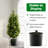 90cm Faux Cedar Tree in Pot
