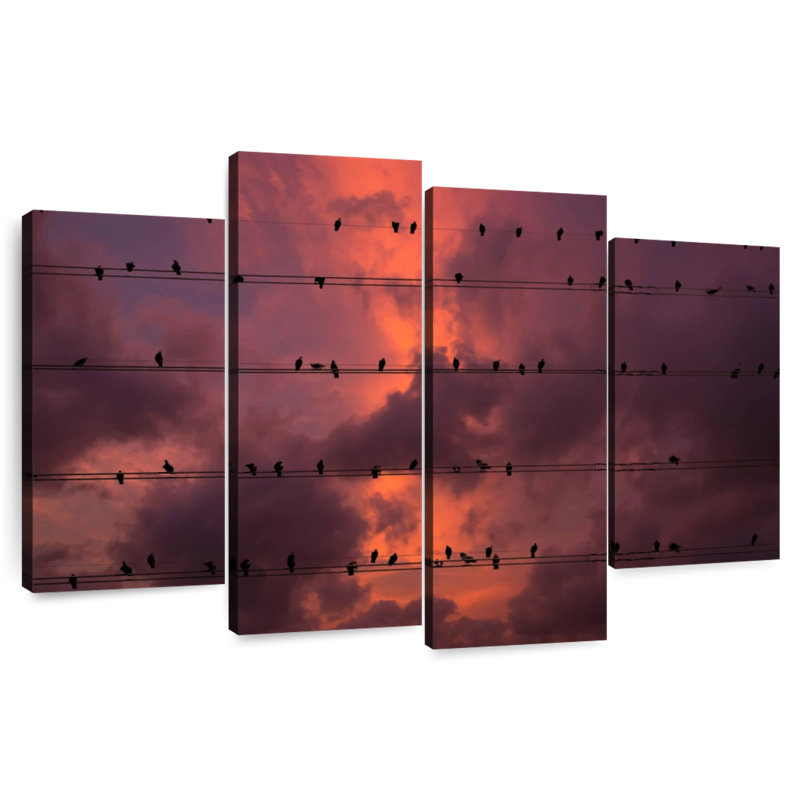 Brampt Pigeons On Wires At Sunset, 27" H x 43" W