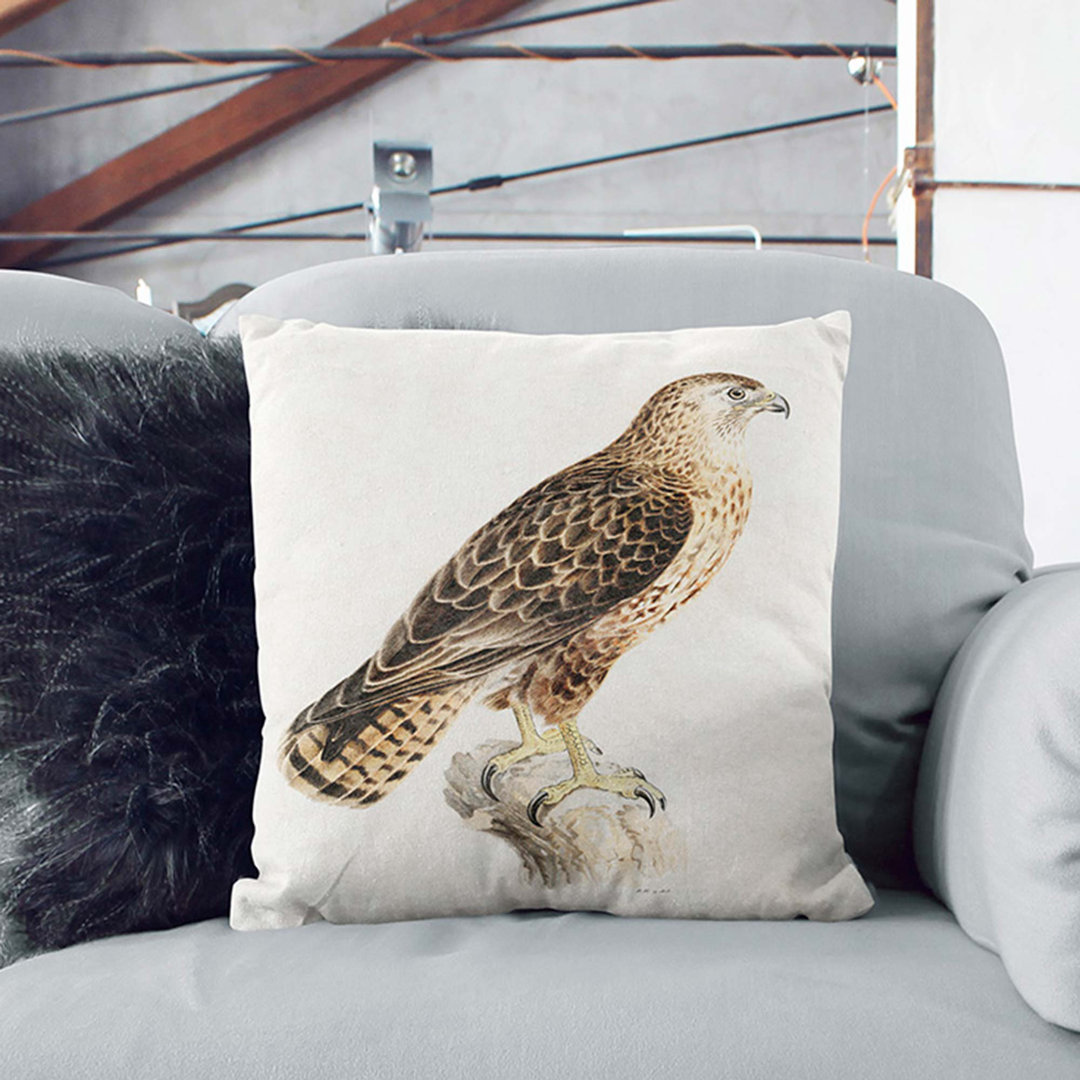 Common Buzzard by Von Wright Cushion with Filling