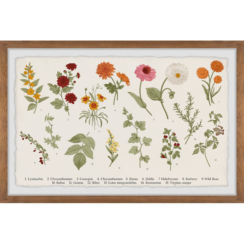 Wild Rose - Single Picture Frame Painting, 20cm H x 30cm W x 3.81cm D