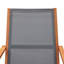 Farbourgh Eucalyptus Outdoor Lounge Chair-1572073253
