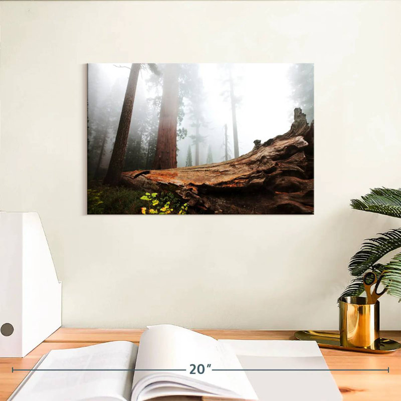 Harnek Fallen Sequoia Tree, 8" H x 12" W