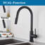 Belfry Kitchen Eleanora Kitchen Faucet Side Spray and with Soap Dispenser