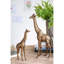 Girafe Wheaton cuivre-1717344781