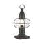 Aster Transparent Lantern Head-1606869822
