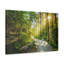 No Frame Print on Canvas-538987128