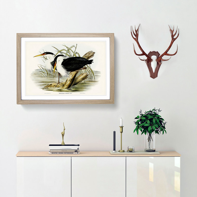 Pied Egrets by Elizabeth Gould - Picture Frame Painting Print, 48cm H x 65cm W x 2cm D, Oak Framed