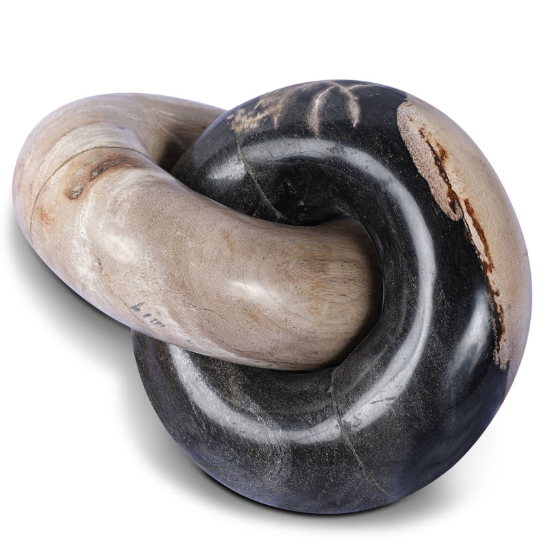Petrified Wood Knot-Dark Petrified Wood