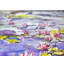 Beaux lotus sur une rivière | Aquarelle sur papier | Décoration murale