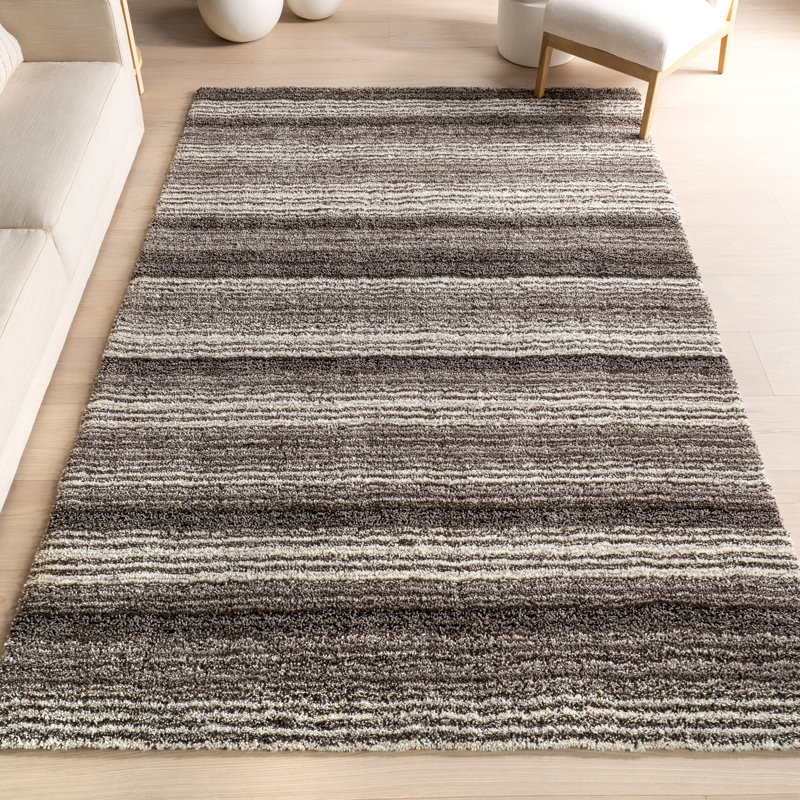 Panitz Hand Tufted Multi Striped Shaggy Gray/Brown Area Rug, Rectangle 3' x 5'