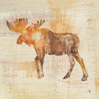 Moose Study by Studio Mousseau - Wrapped Canvas Painting