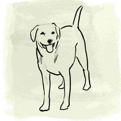 Simple Happy Dog par - on