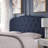 Roselare Upholstered Headboard-15087164-15087168