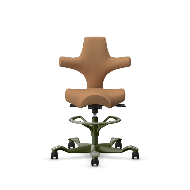 Fauteuil réglable en hauteur avec repose-pieds HœG Capisco, Brun, Vert