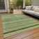 Machine Washable Indoor/Outdoor Claudian ACN1625 Aloe Rug