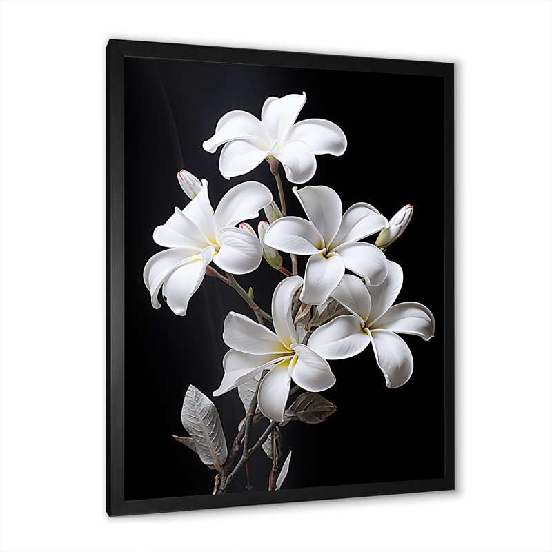 Parfumée Plumeria Serenade I, H 44 po x l 34 po x P 1,5 po, Cadre simple noir