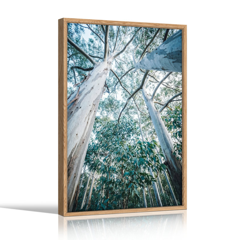 Ensemble de 1 tableau sur toile représentant la canopée d'un arbre, 30"H x 20"W, Naturel