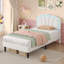 Standard-801287286-801287280