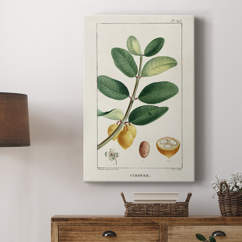 Turpin Tropical Botanicals V - galerie sur mesure, H 48 po x l 32 po