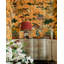 The Curators Cabinet Wallpaper Roll
