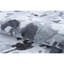 Camouflage Area Rug in Dark Gray/Light Blue-62683253