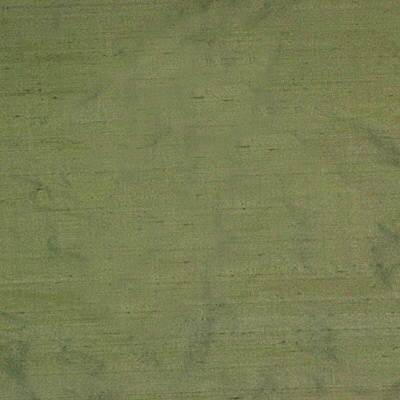 Shayla Silk Fabric