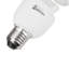 Ampoule fluorescente compacte 45W (5500K)