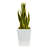 31 " H Faux Snake Plant-695151718-694737016